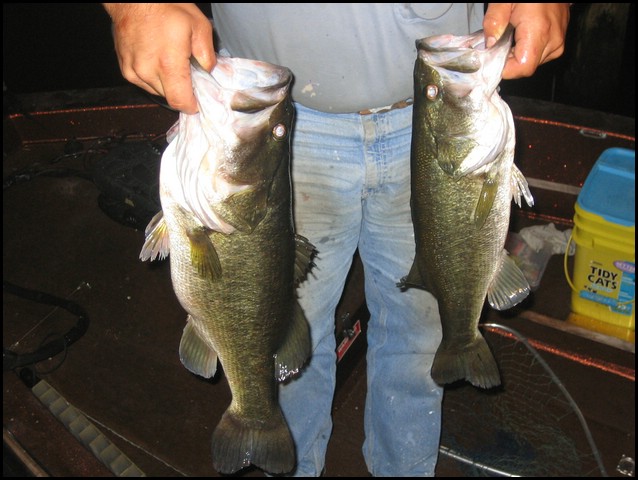 03_BassFishing.jpg