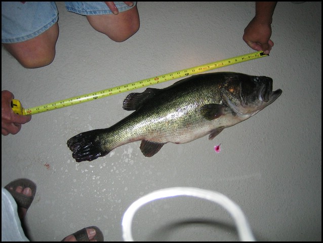 09_BassFishing.jpg