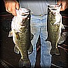 03_BassFishing.jpg