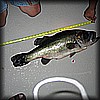 09_BassFishing.jpg