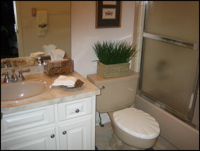 19_GuestBathroom.JPG